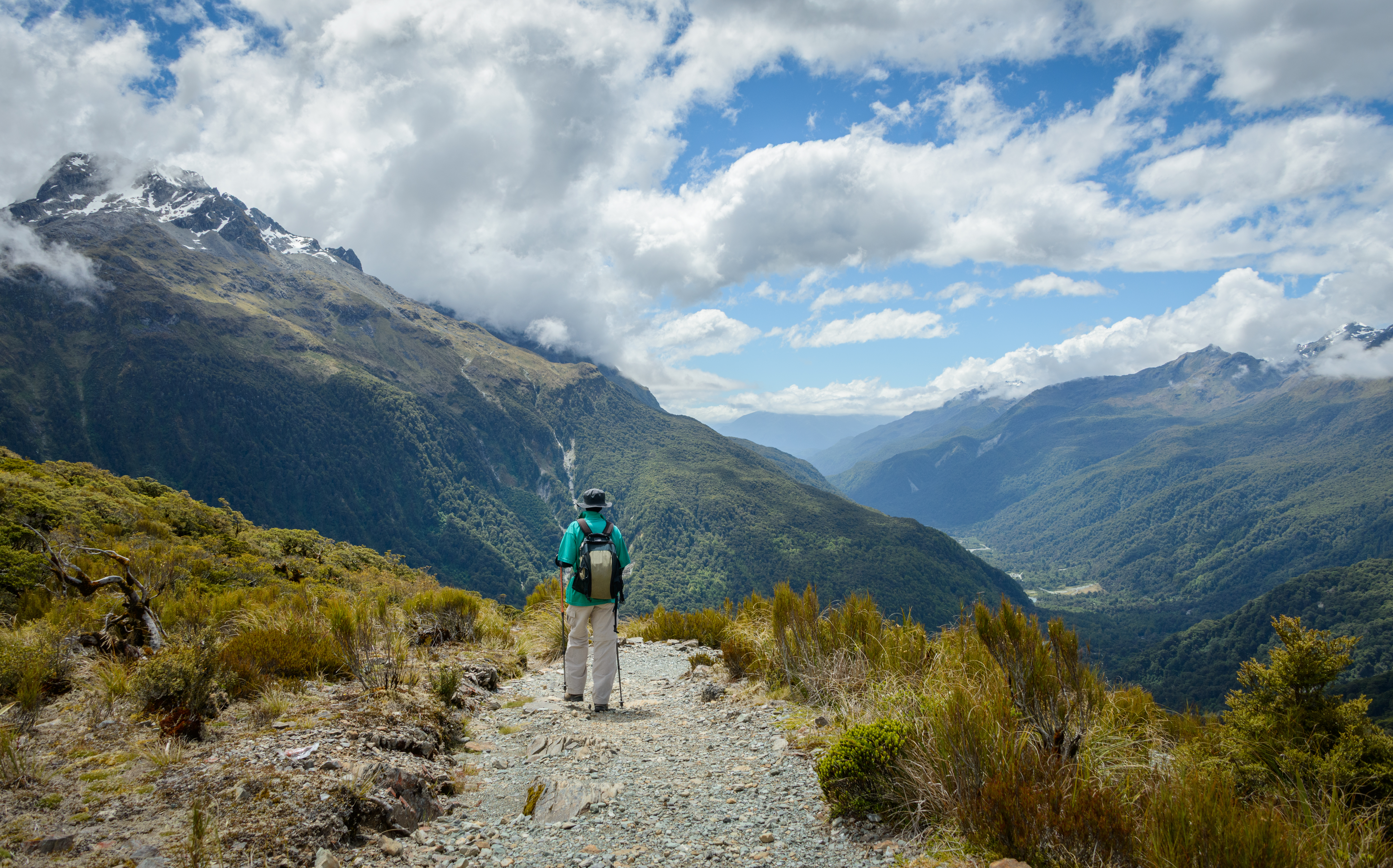 Missed out on securing a Great Walks pass? Own the backyard instead.
