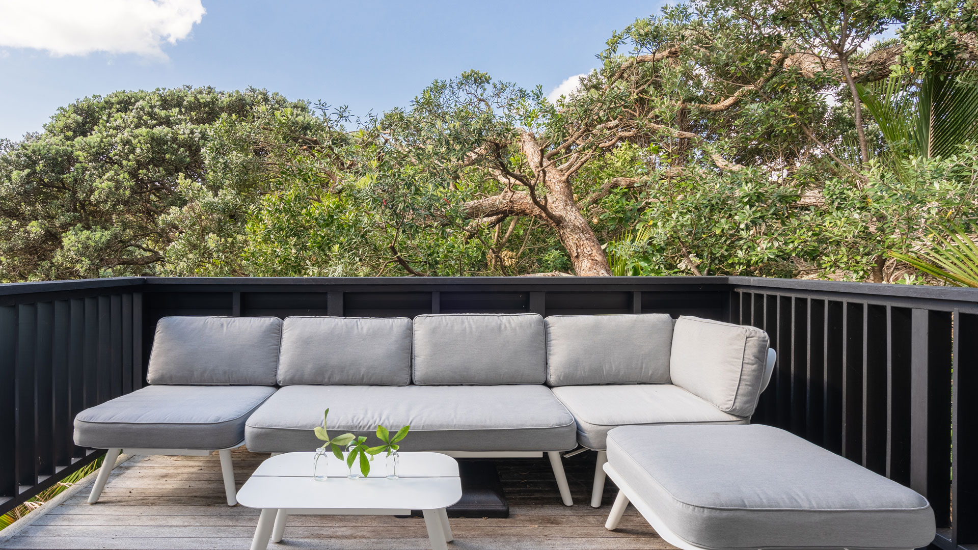 A deck balcony in an NZ property overlooking the bush.