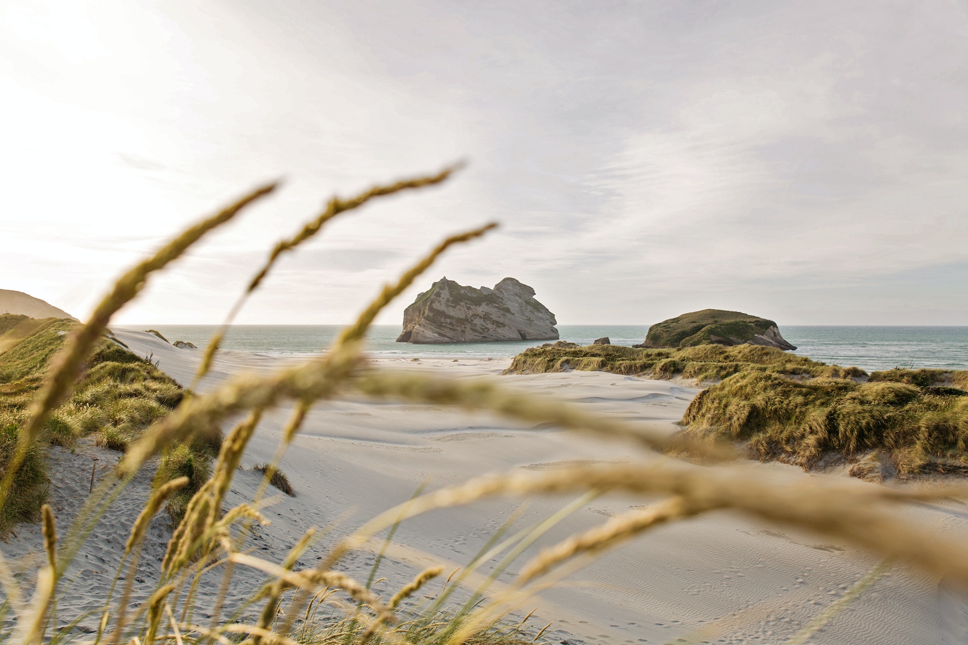 Beach in New Zealand's south island. 