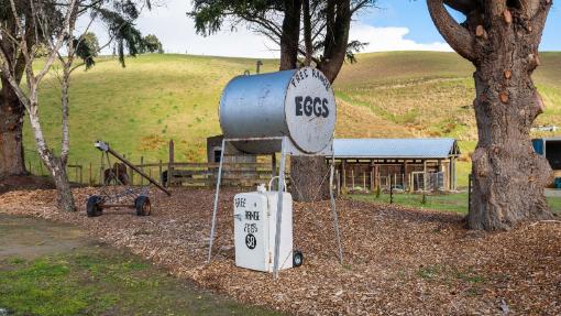 The chooks’ eggs are popular. Photo: Bayleys/TRADE ME