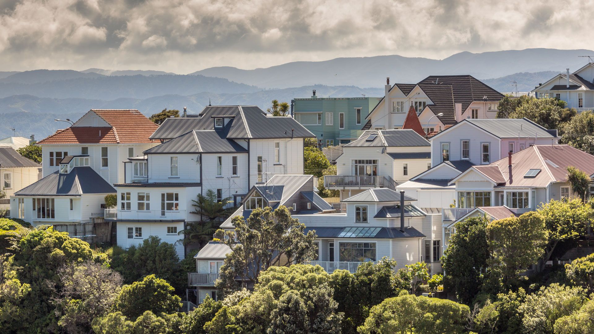 Homes on a hill in Wellington, overlooking the harbour.