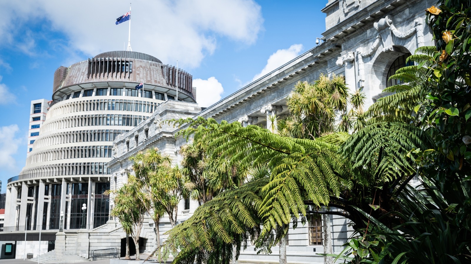 Image of beehive in Wellington. OCR NZ. 