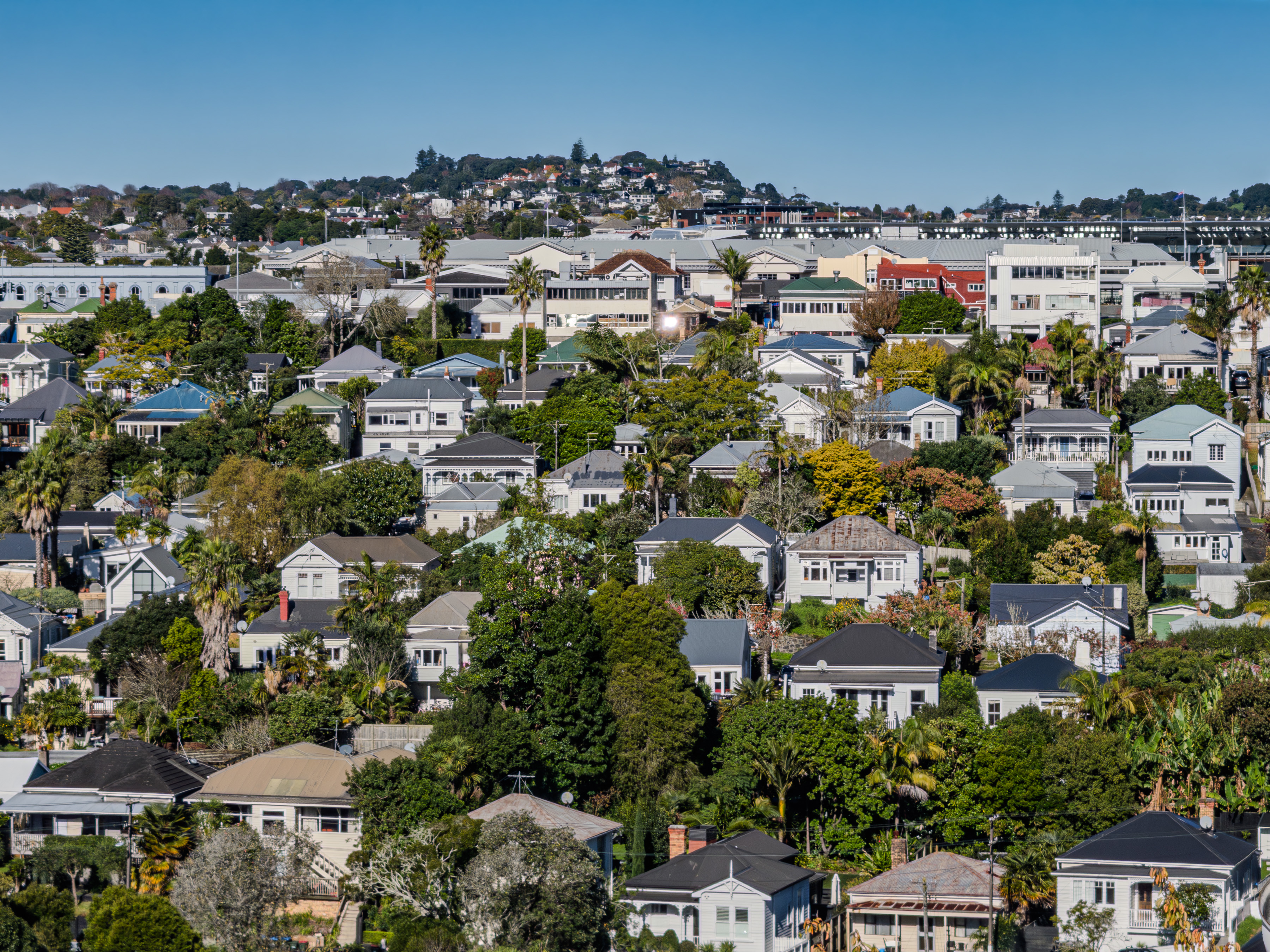 Character houses in Auckland's Kingsland 