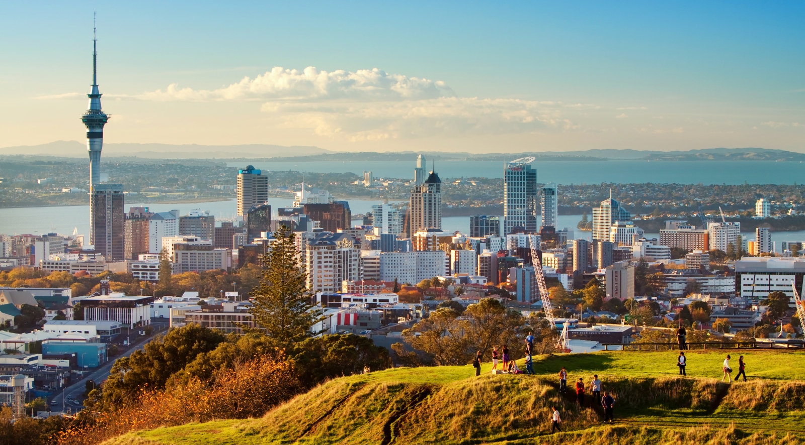 Auckland city viewed from Mt Eden. 