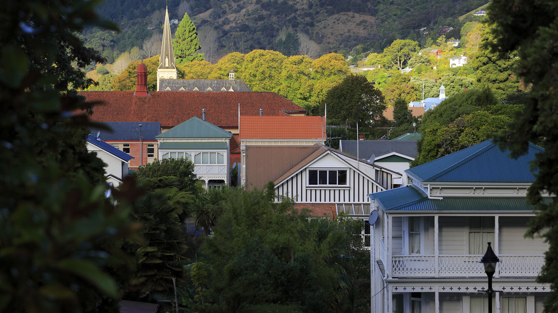 A view of a leafy suburb in Nelson, with a church spire in the background.