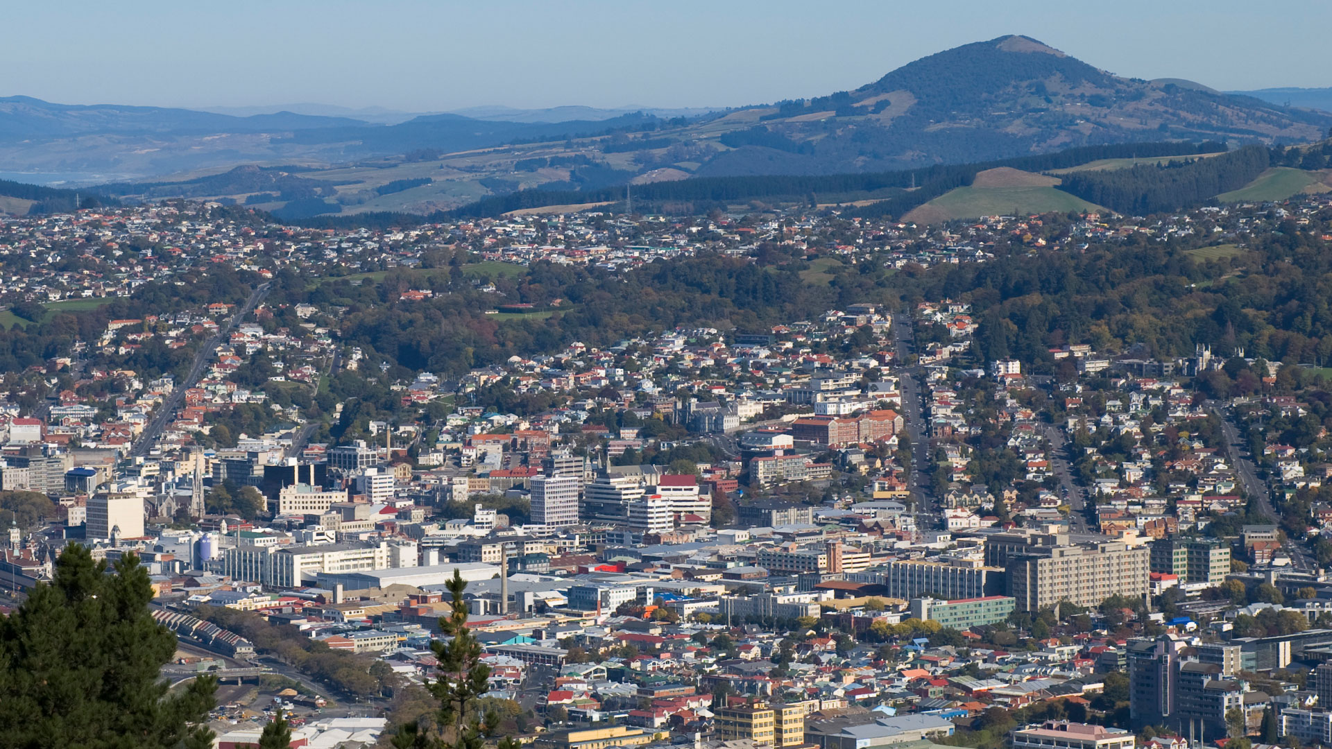 An aerial shot of the city of Dunedin in otago, with hills in the background.