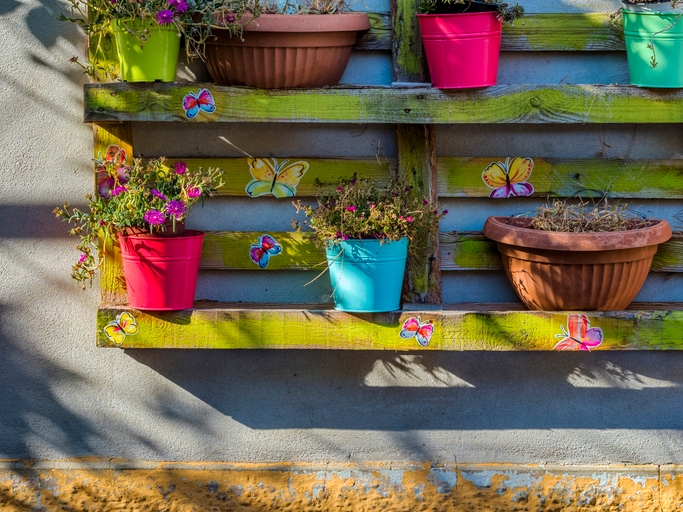 Vertical Garden DIY 