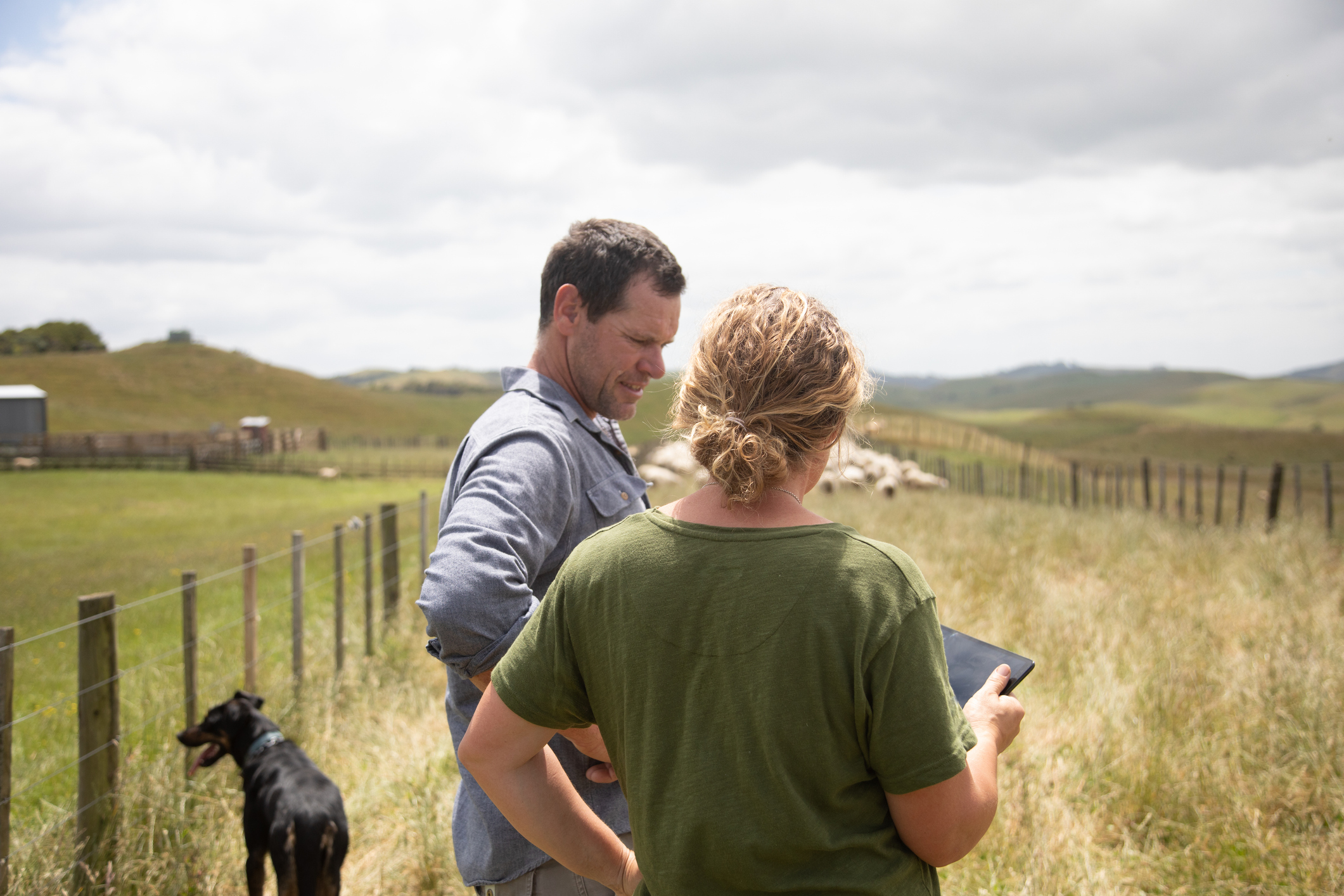 Farm in NZ two people. 