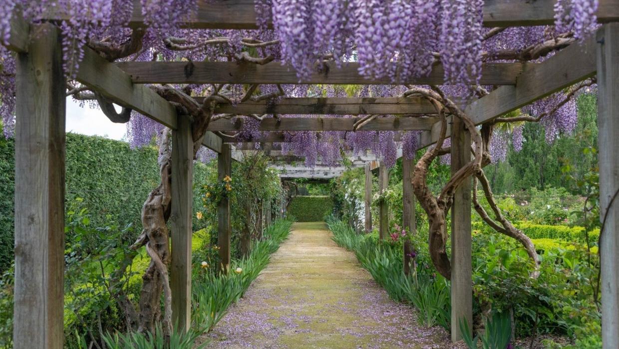 The gardens took 10 years to create. Pictured a floral covered archway