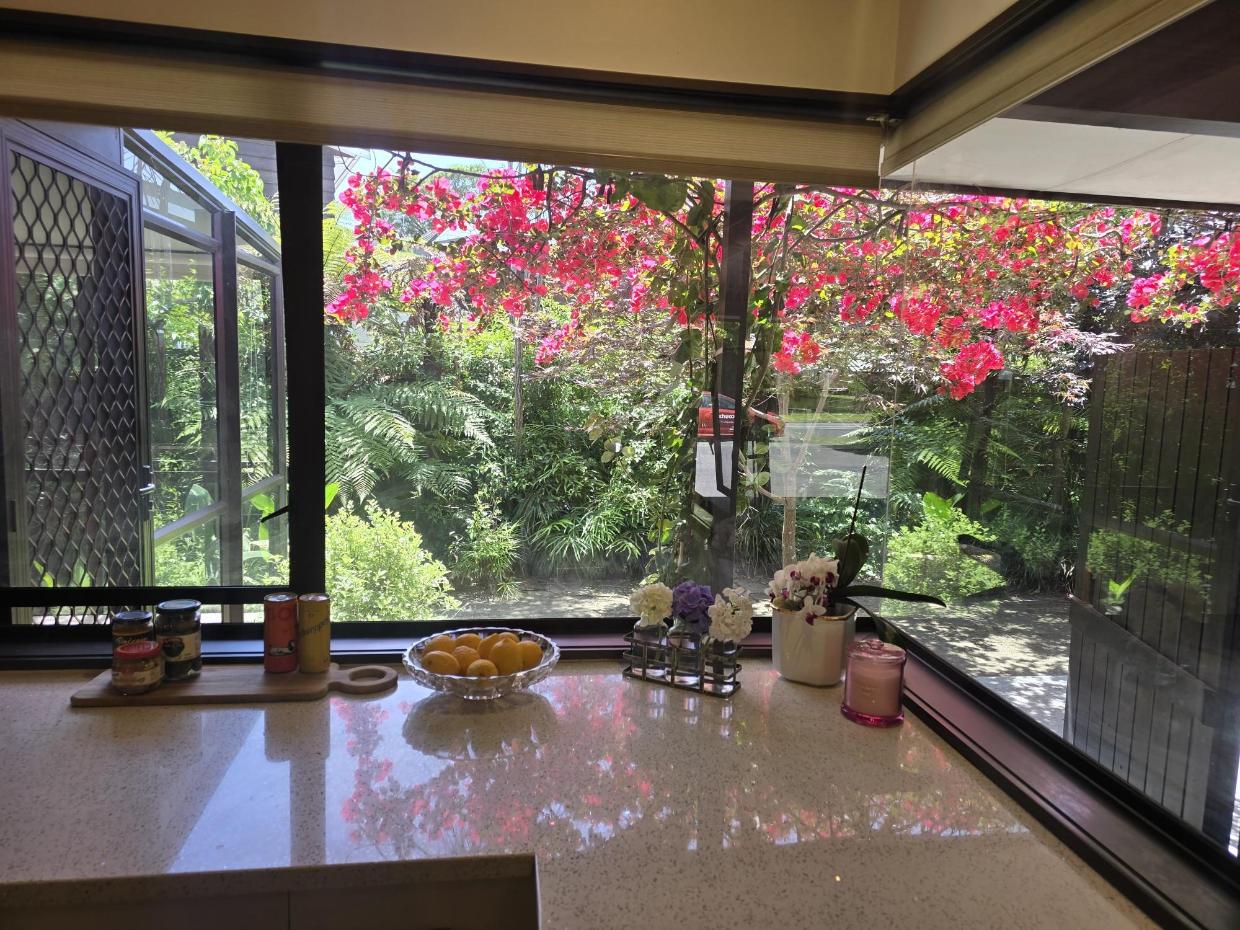 Exotic colours inside the home