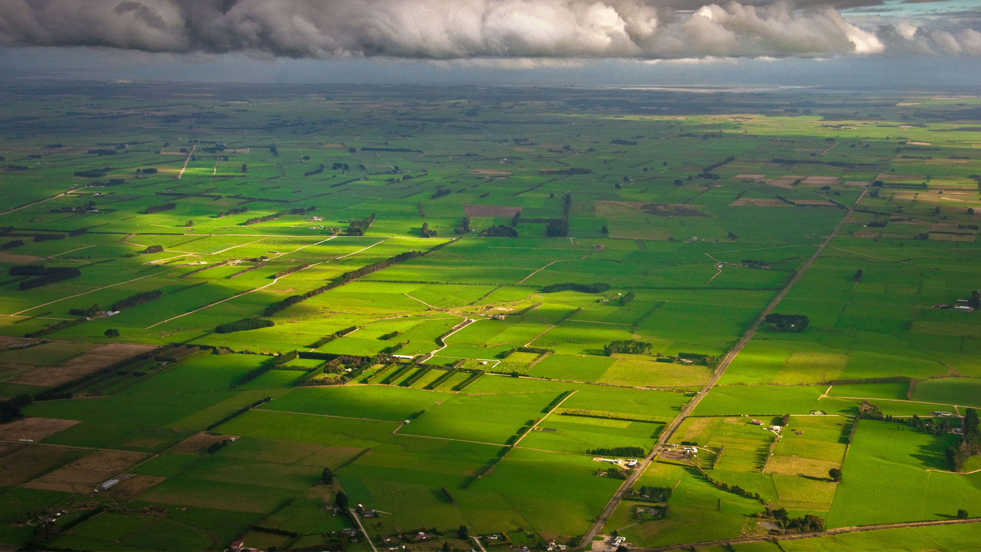 An aerial photo of farmland in Southland, New Zealand.