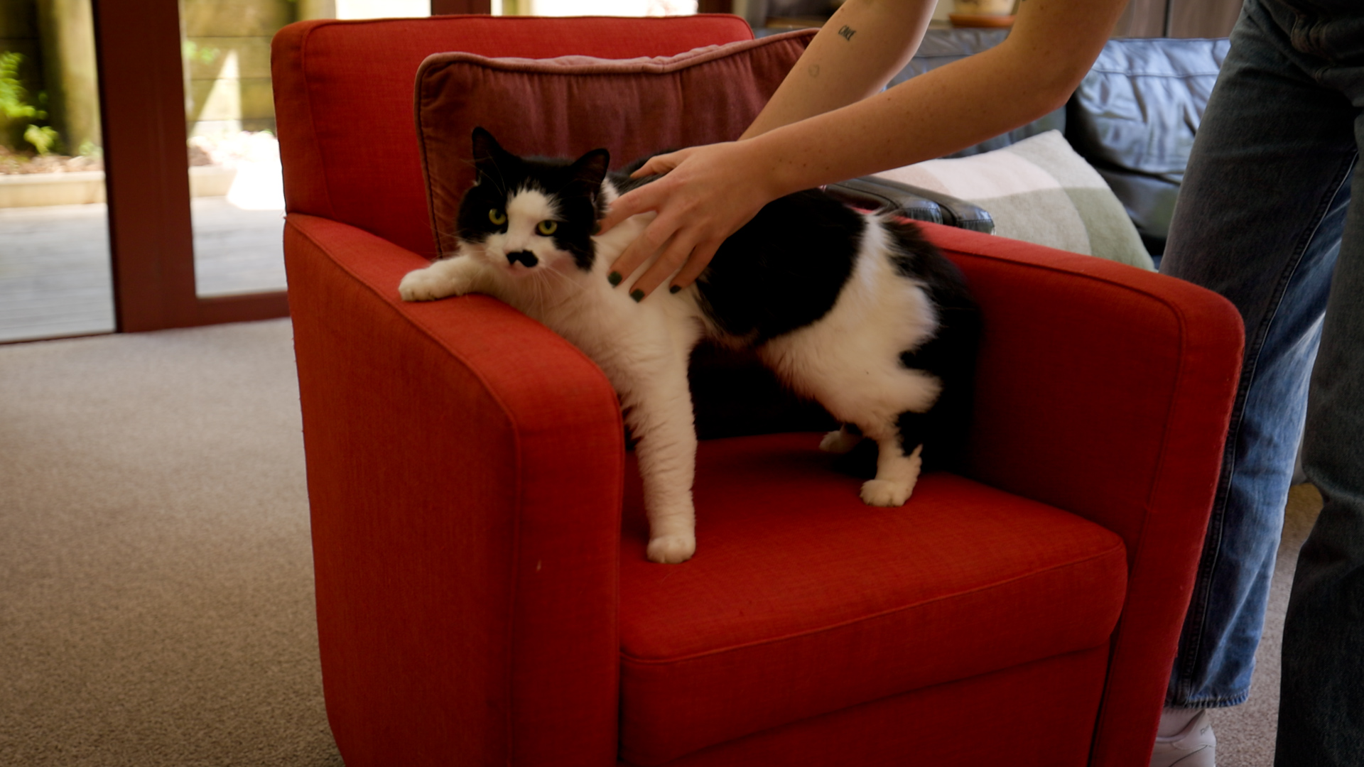 The couple's cat Mimi guards the lounge’s red armchair.