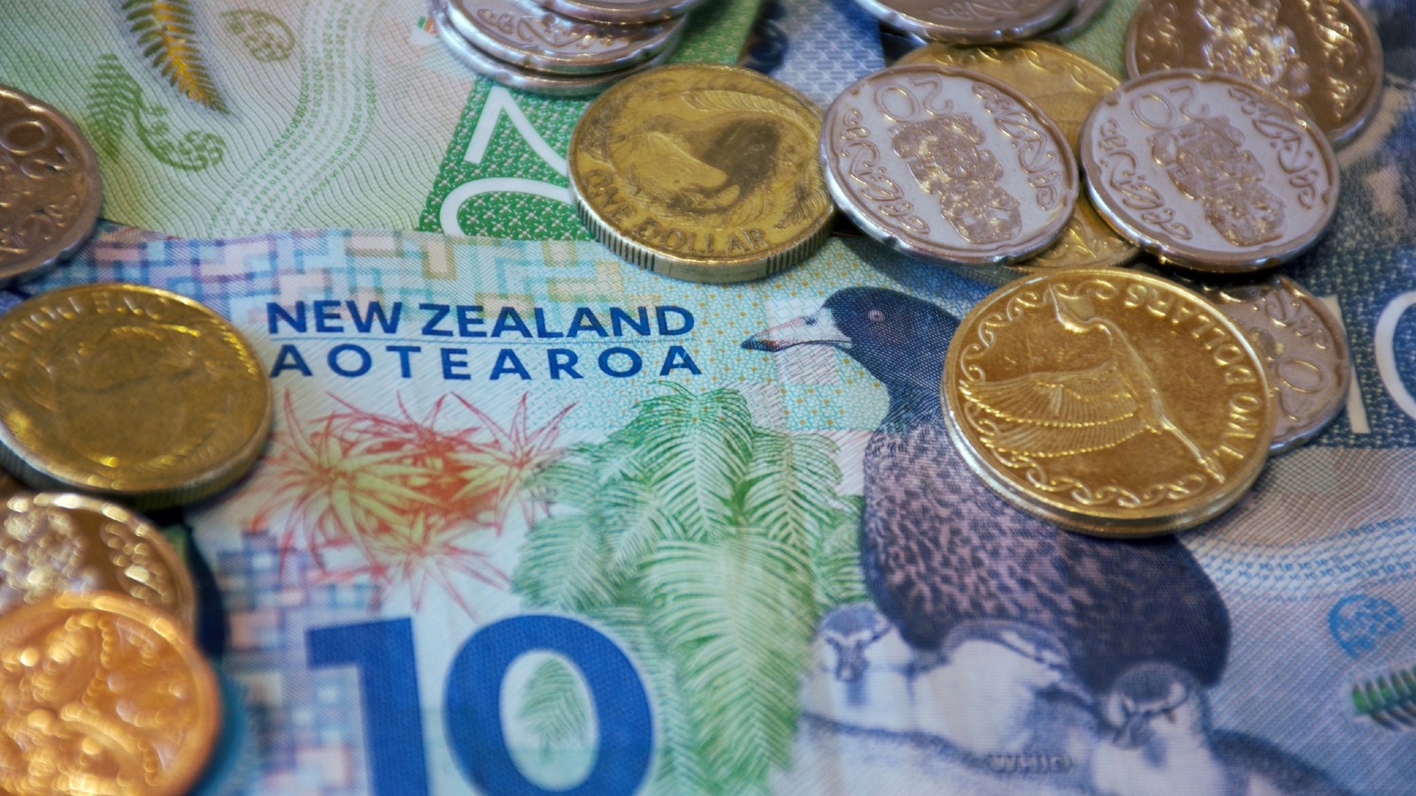 Picture of New Zealand cash. 