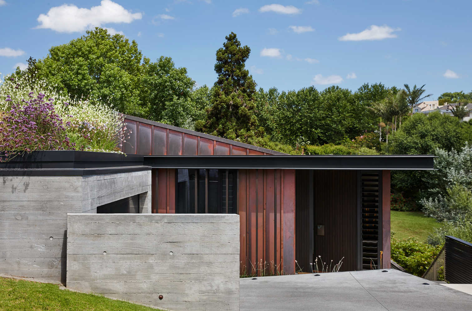 On a central Auckland street, architect Vlad Cekus of BVA Studio transformed a 1920s bungalow into a contemporary city oasis of raw materials capped by a flowering green roof – the home was named the 2023 Alt & Reno Home of the Year. Image: Jackie Meiring.