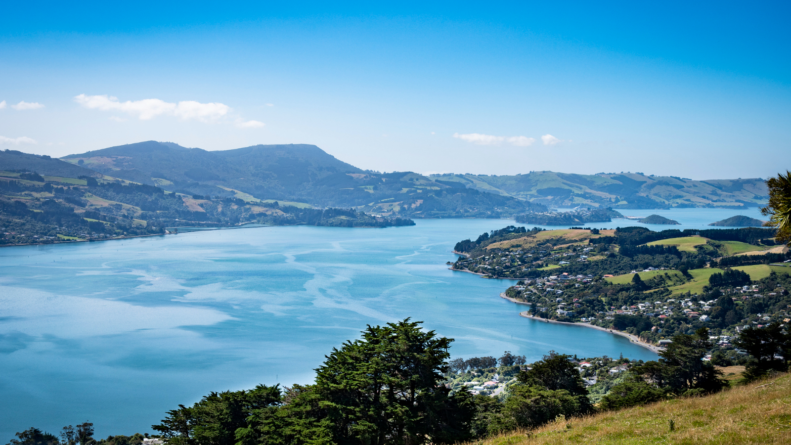 Views on the Otago Peninsular, just down the road from Andersons Bay. 