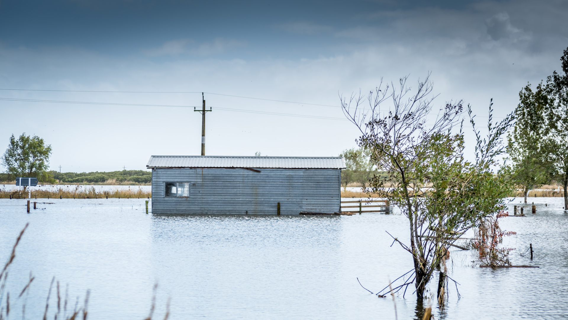 Home insurance in NZ: A simple guide