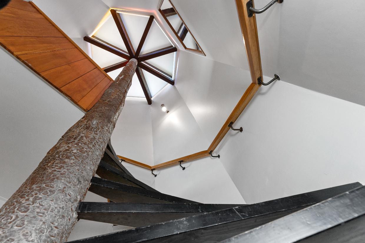 A unique feature shown of a staircase wrapping around a tree