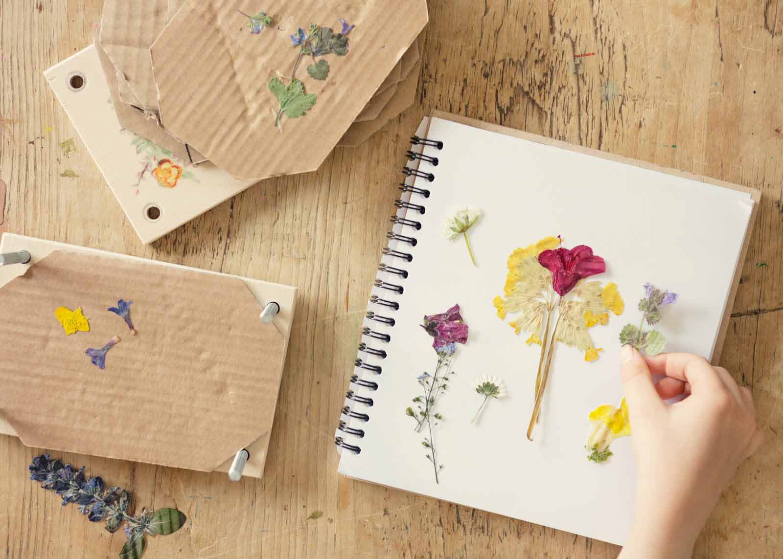 Child creating a book of flower pressings on a desk at home.