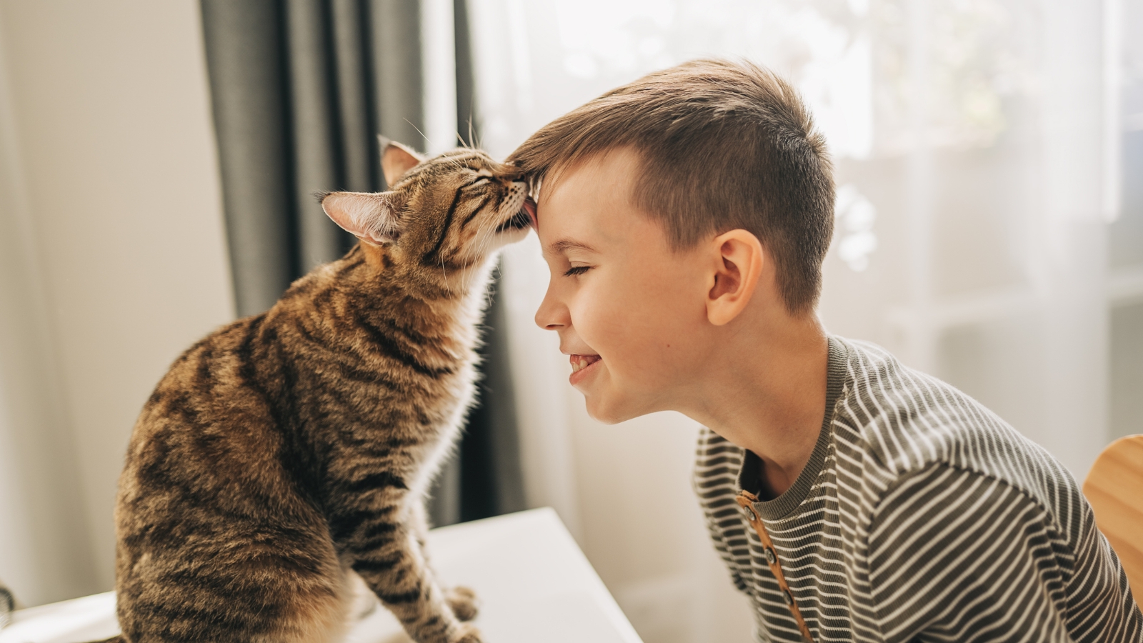 Cat licking boys head. 