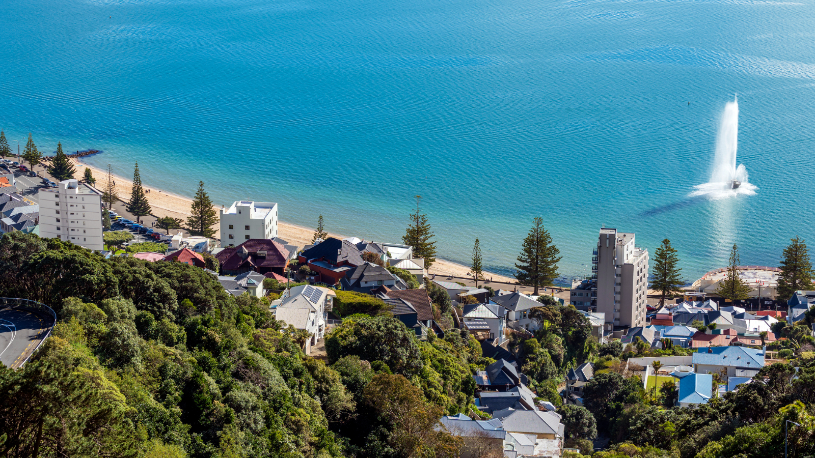 Oriental Bay