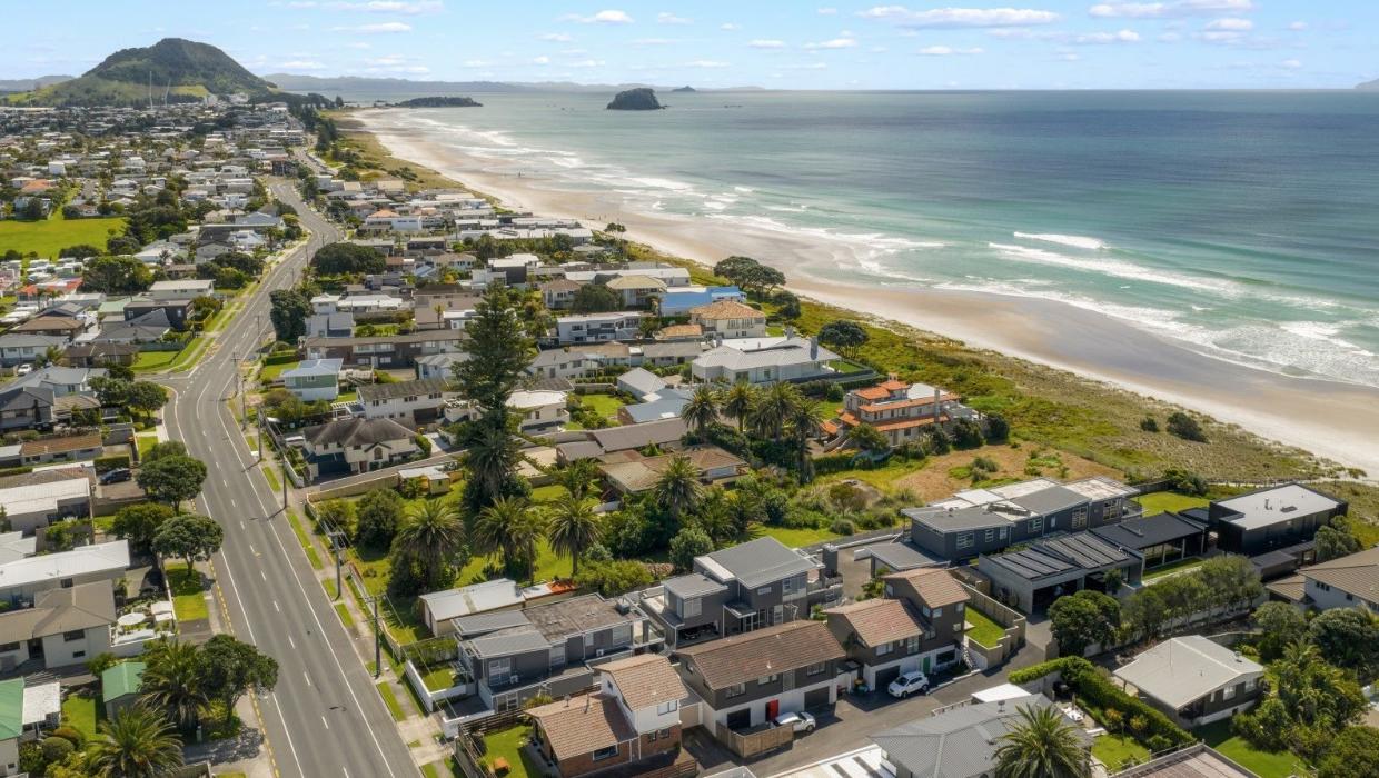 aerial view of the plot