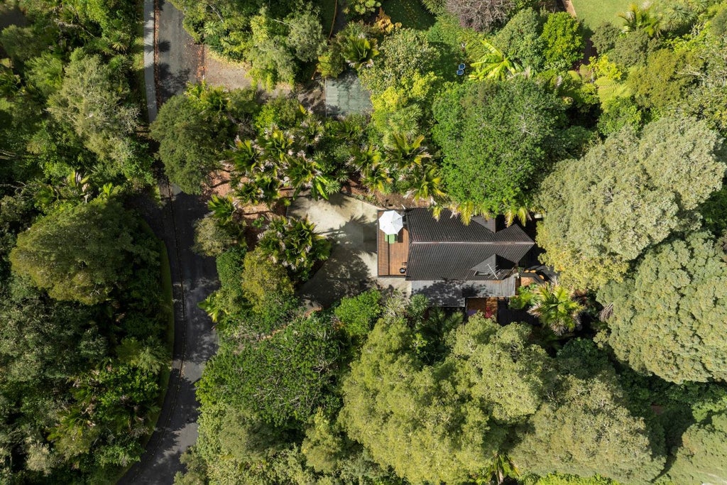 Property surrounded in jungle and the beach is at the bottom of the hill. 