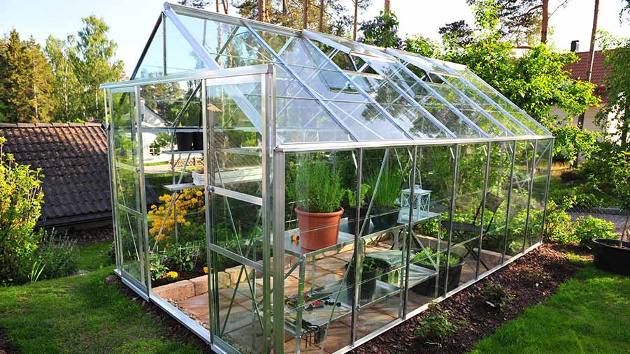 Glass greenhouse standing in a New Zealand garden.