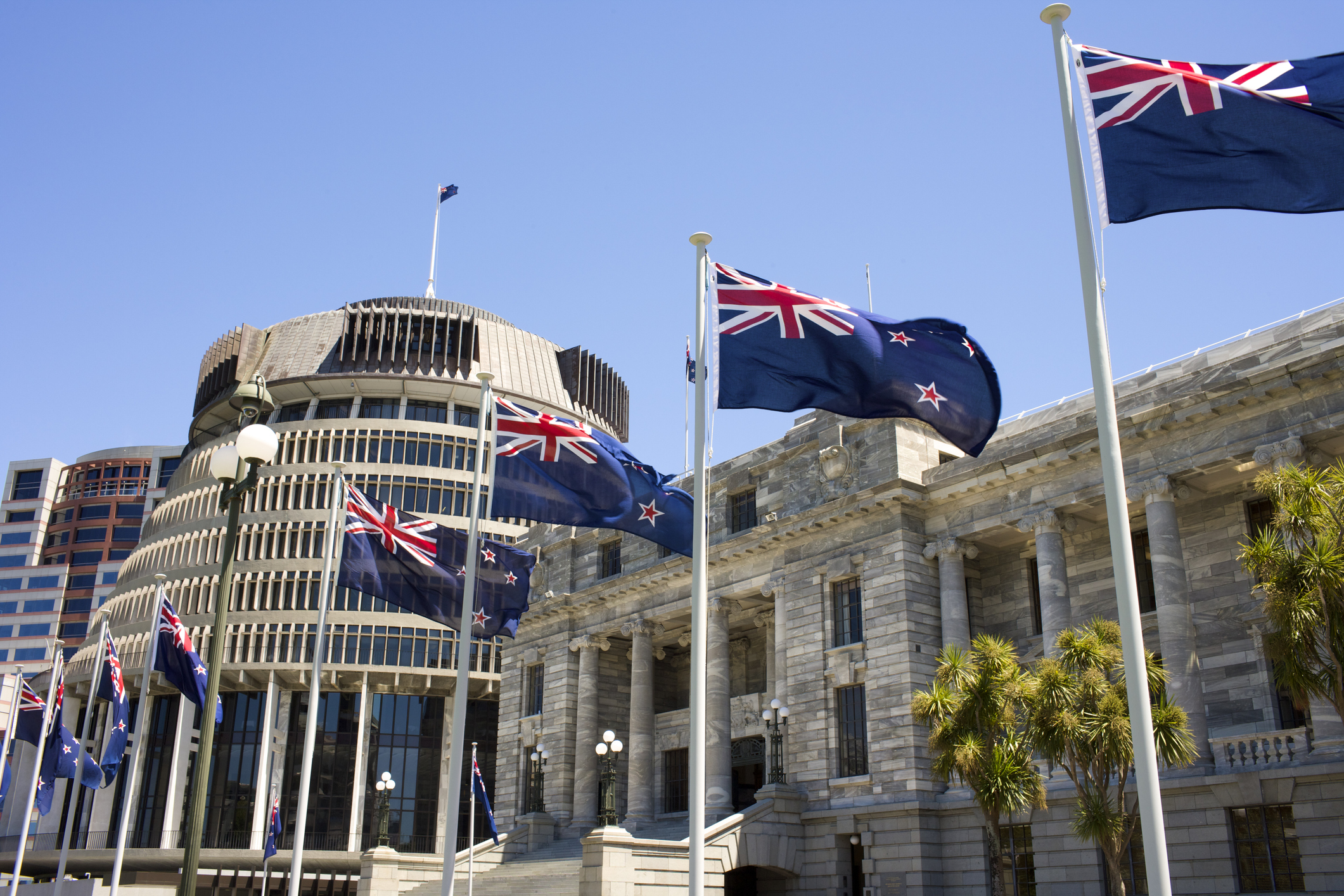 Parliament with NZ flags
