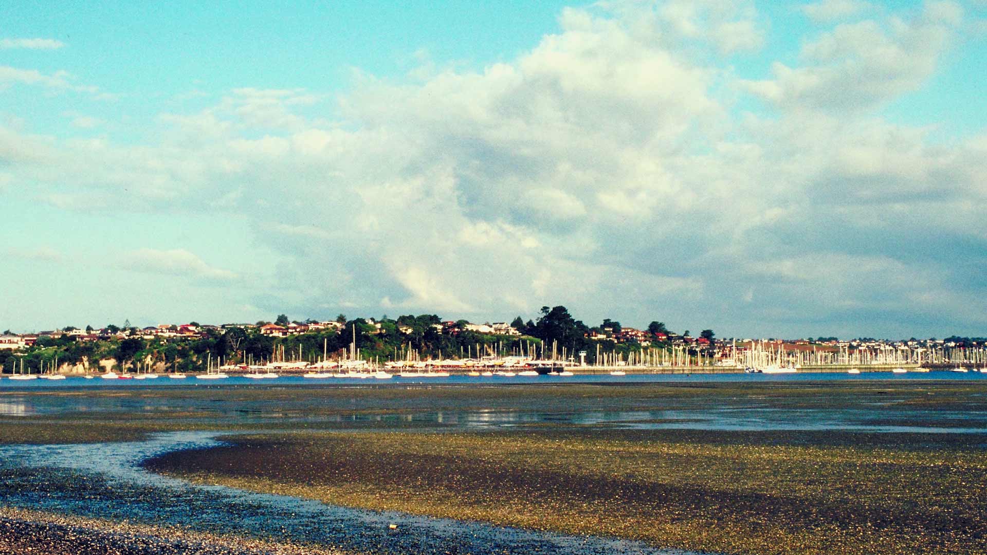 Image of Glendowie, Auckland