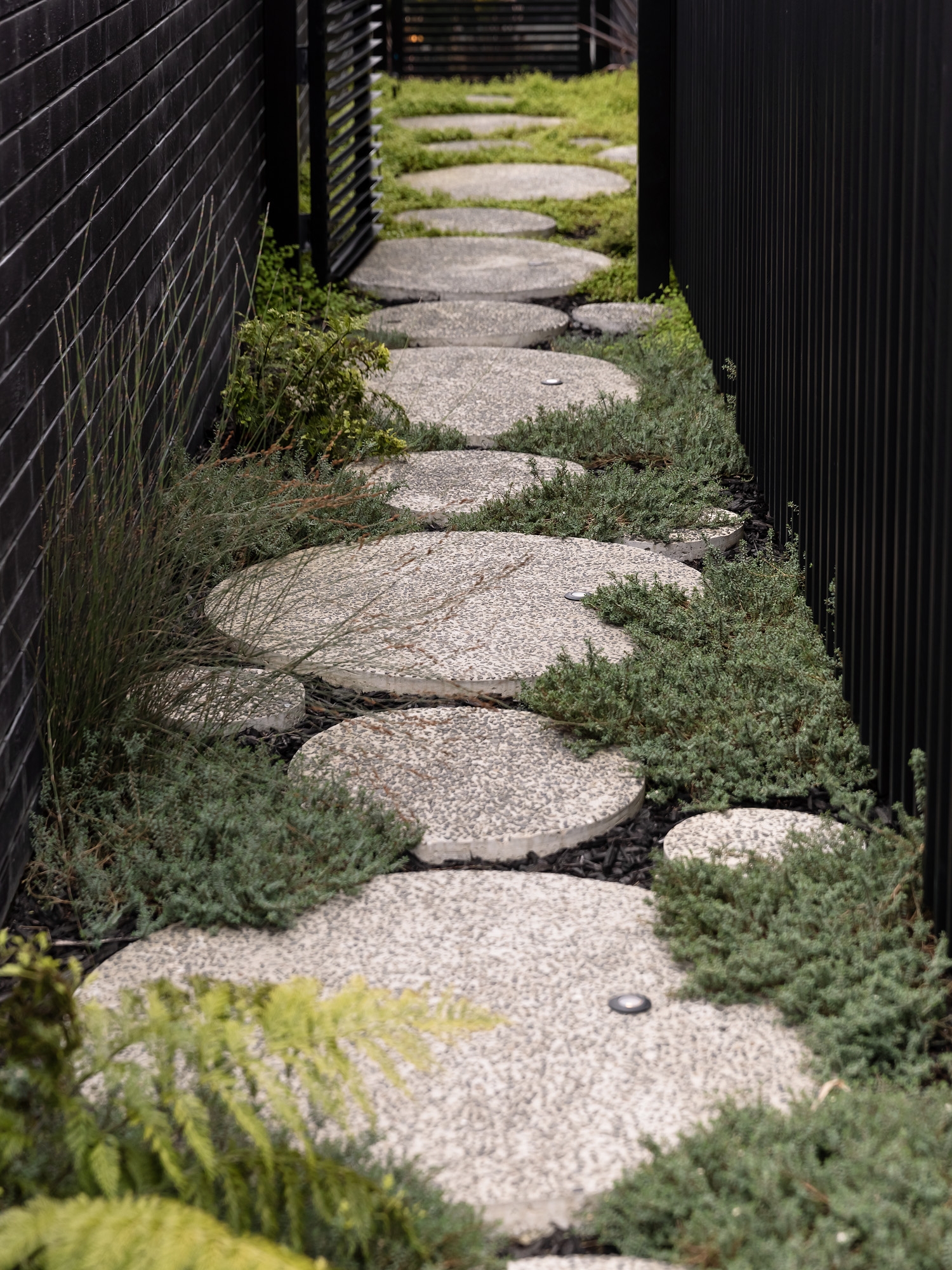 This image shows a narrow garden path composed of large, circular stepping stones made of textured concrete. The path is flanked by black walls on either side, one of which appears to be a metal fence and the other a brick wall. The stepping stones are embedded in low-growing green ground cover plants, creating a natural and harmonious look. Various other plants and grasses grow alongside the path, adding to the lush, green aesthetic. The pathway leads towards a partially visible structure at the end, suggesting it is a connecting route between outdoor spaces.