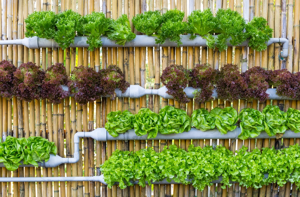 This simple, DIY hydroponic green wall creates an edible garden for a small space. 