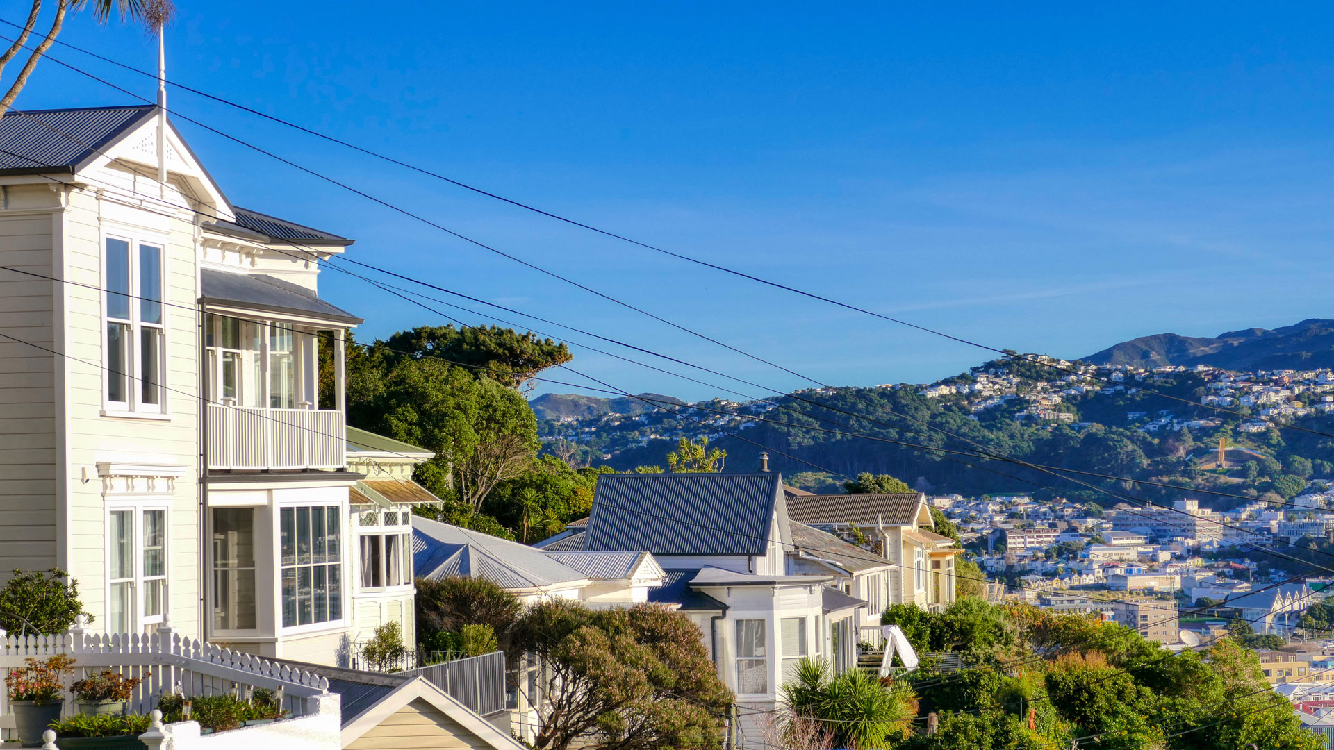 A row of houses in Mt. Cook. Wellington on a sunny day.