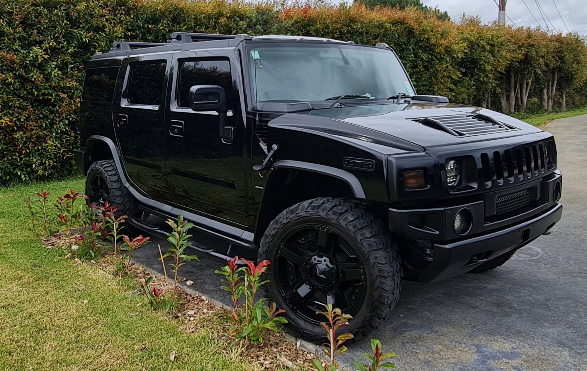 Hummer