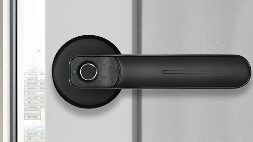 Door handle with fingerprint lock