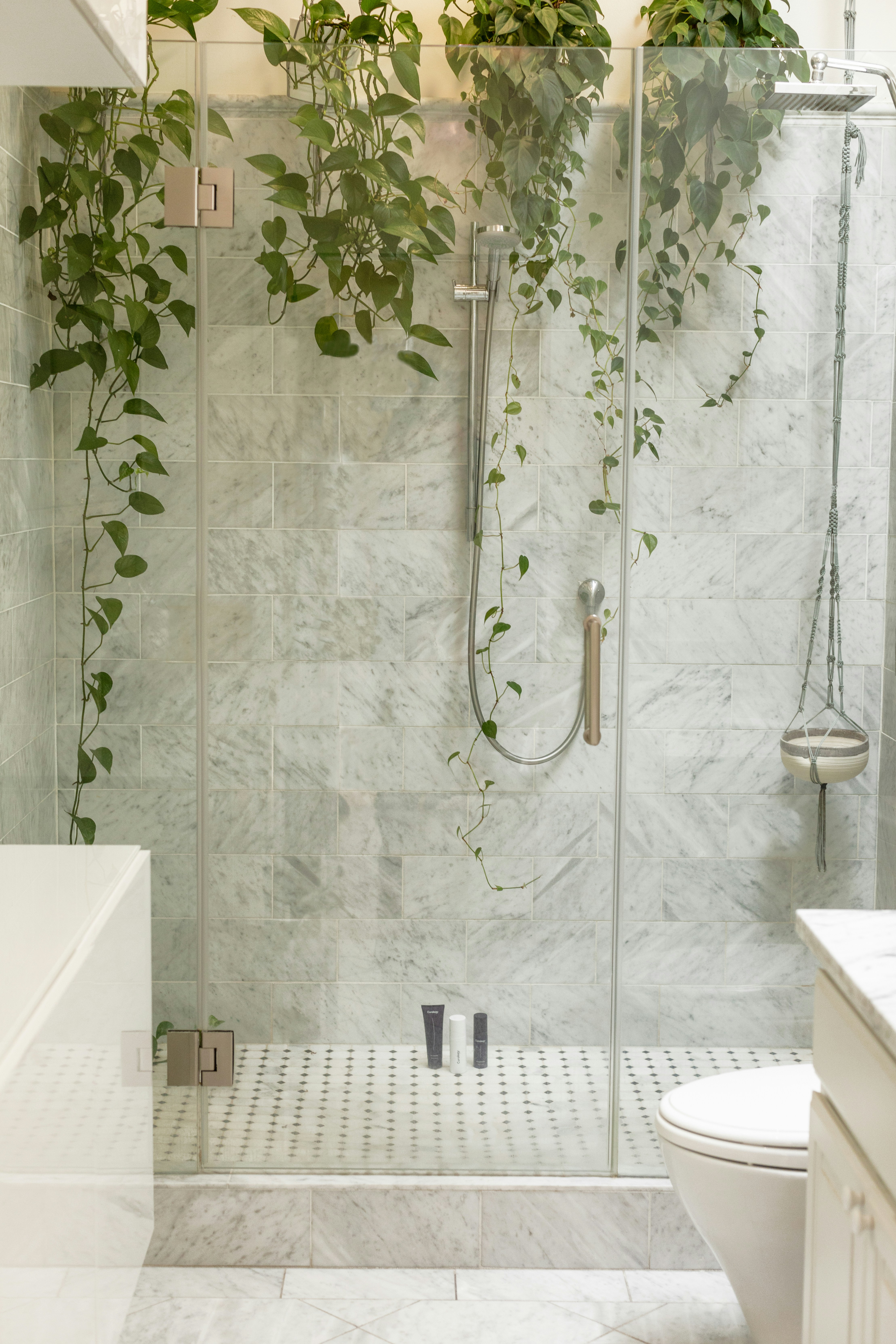 Hanging plants in a shower.