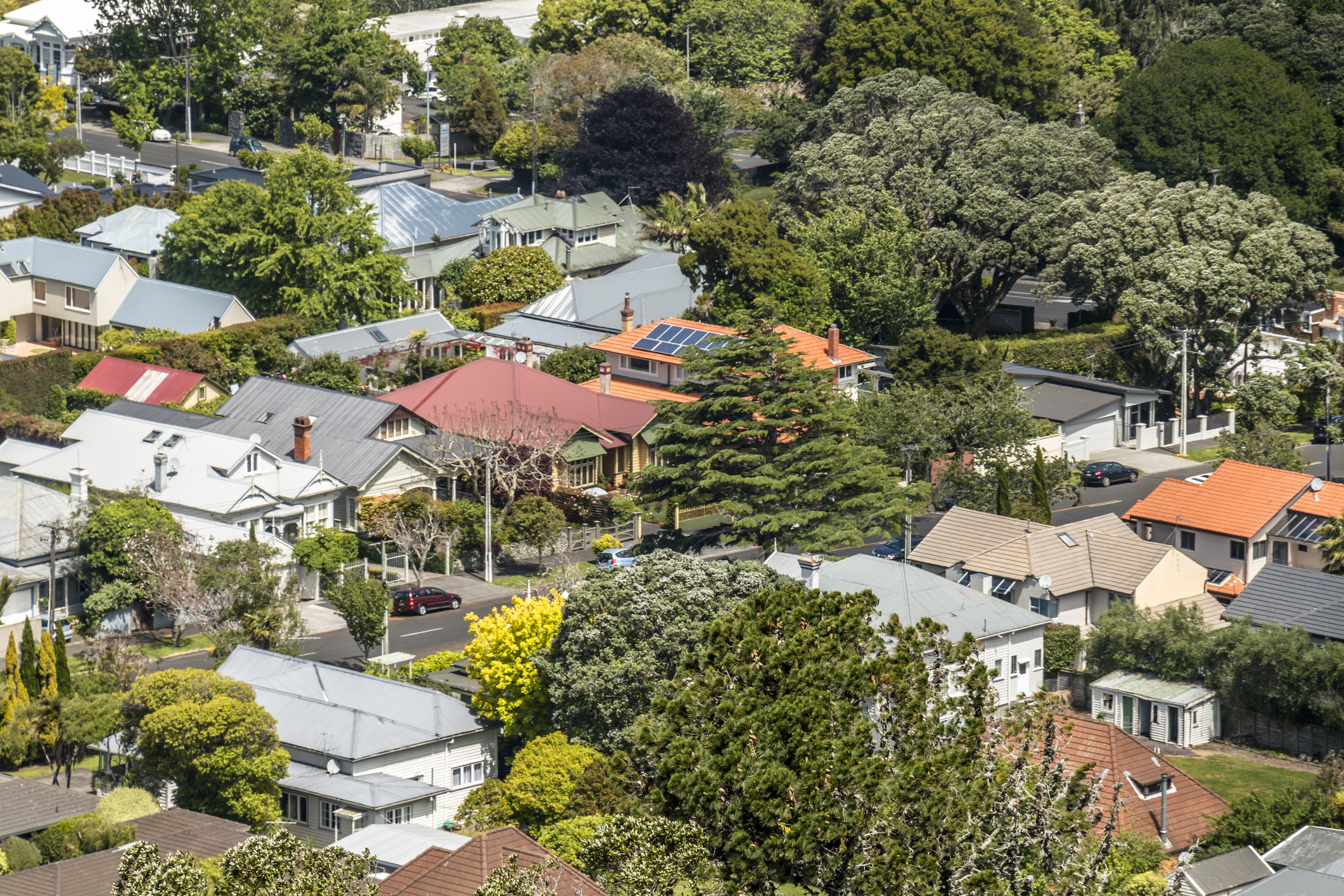 Photo of Mount Eden properties