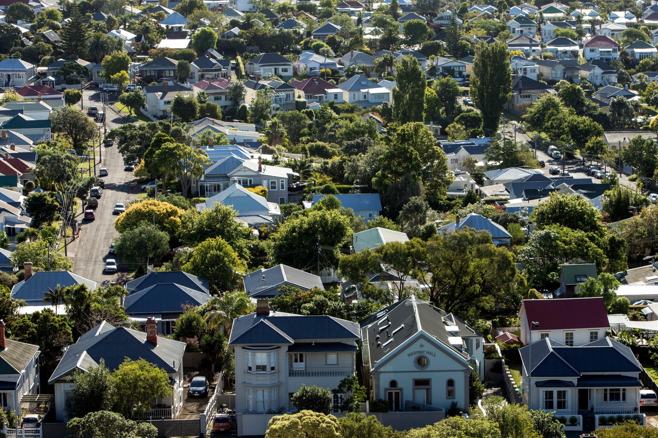 Bird's-eye view of NZ suburb