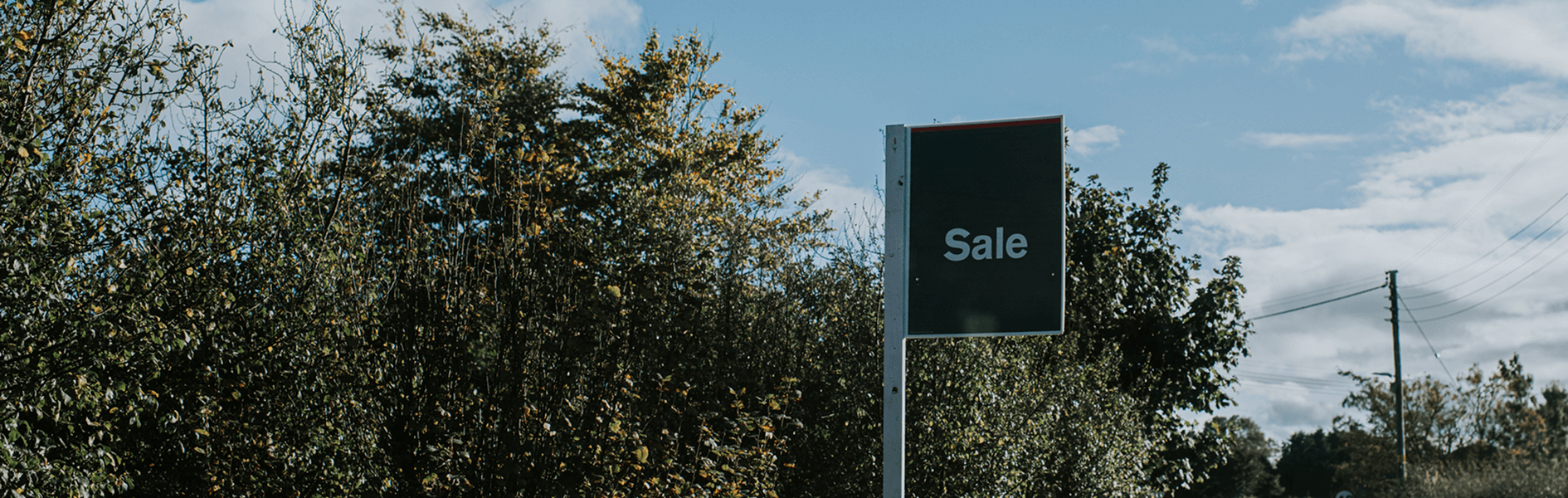 9 tips for frustrated buyers on how to win at auction