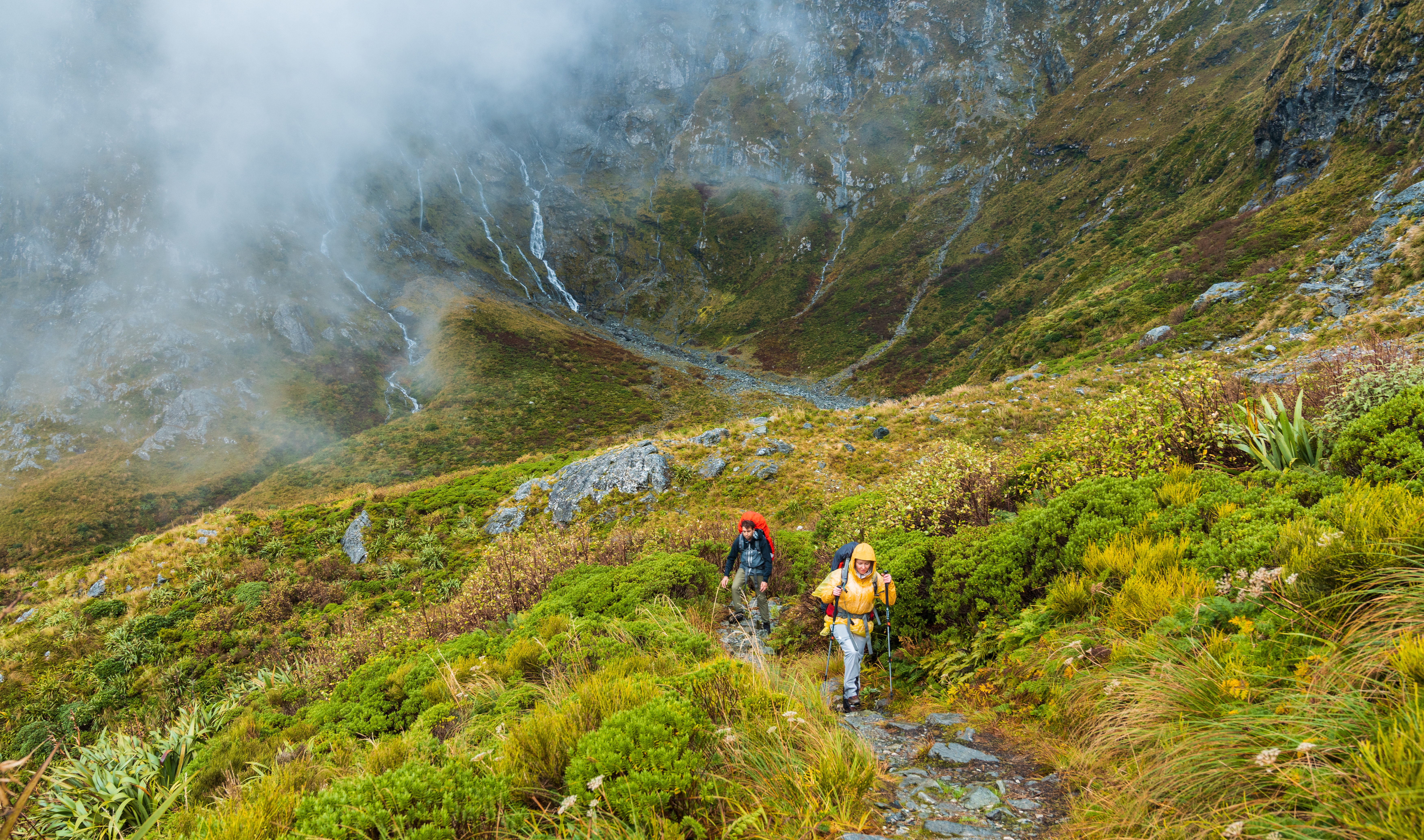 Image of the Milford Track