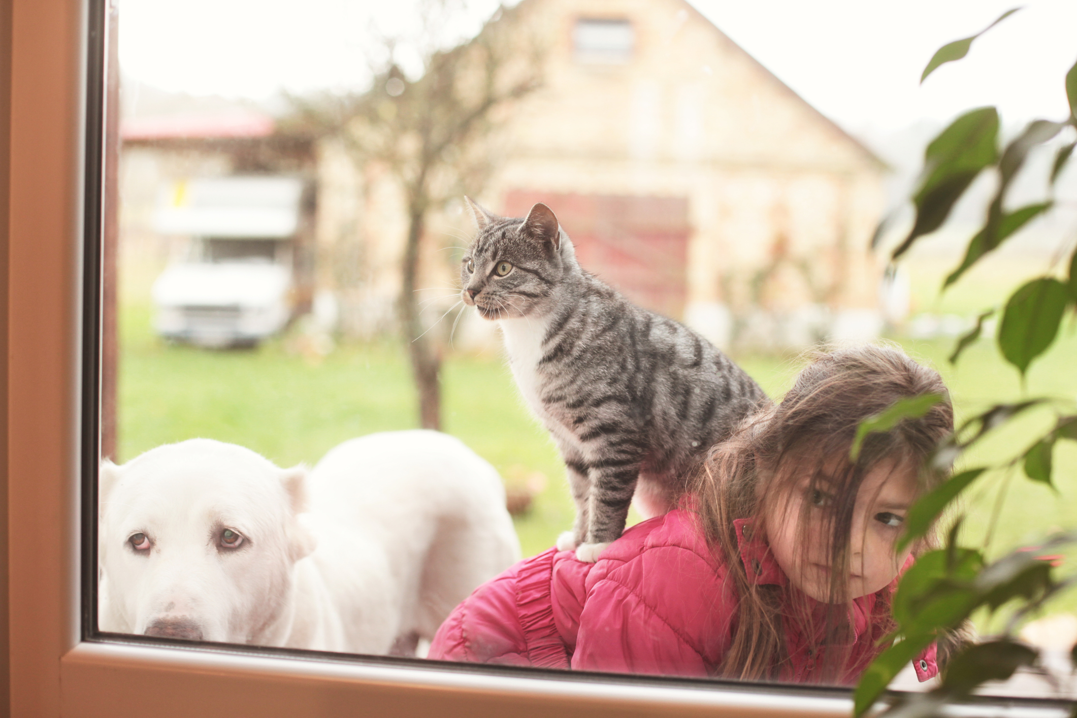 A little girl sits outside with a cat and dog