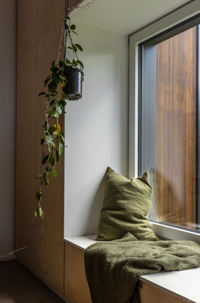 A modern bay window with a khaki green blanket and cushion and a hanging plant