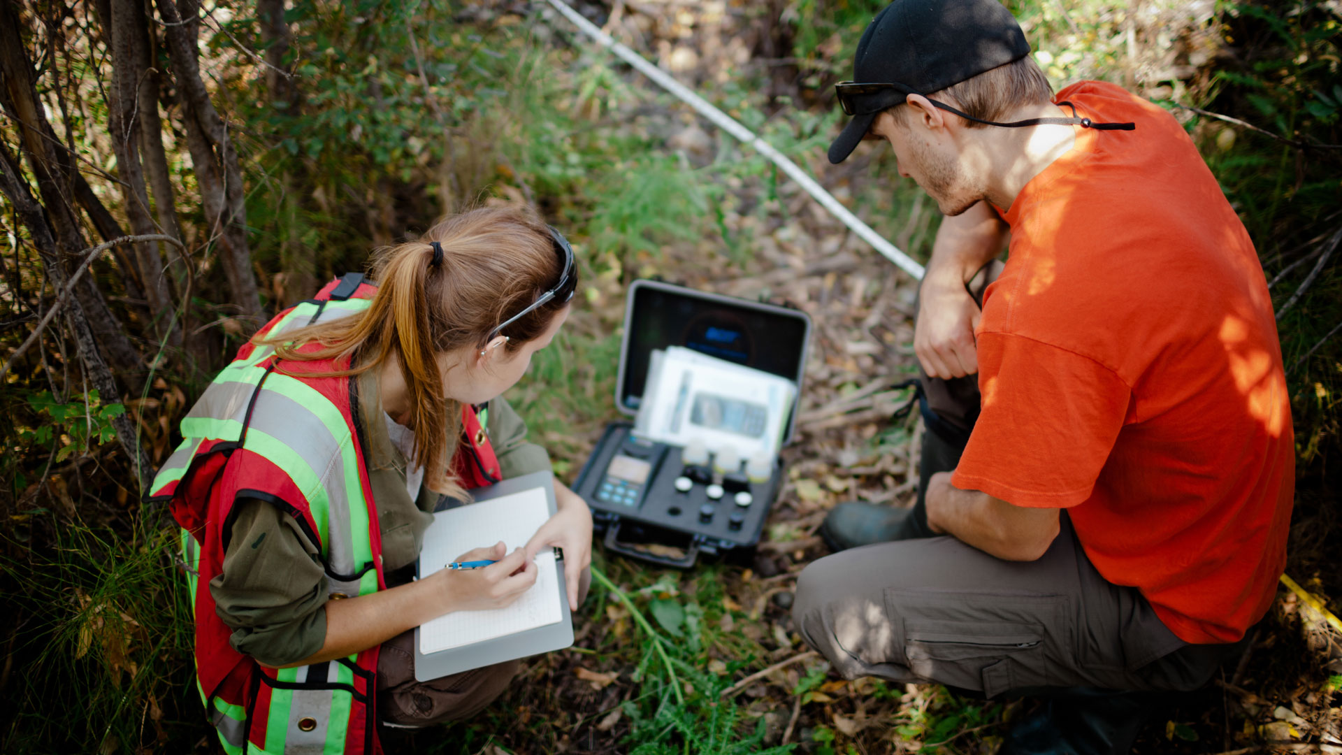 Research scientists conducting fieldwork in Aotearoa New Zealand.
