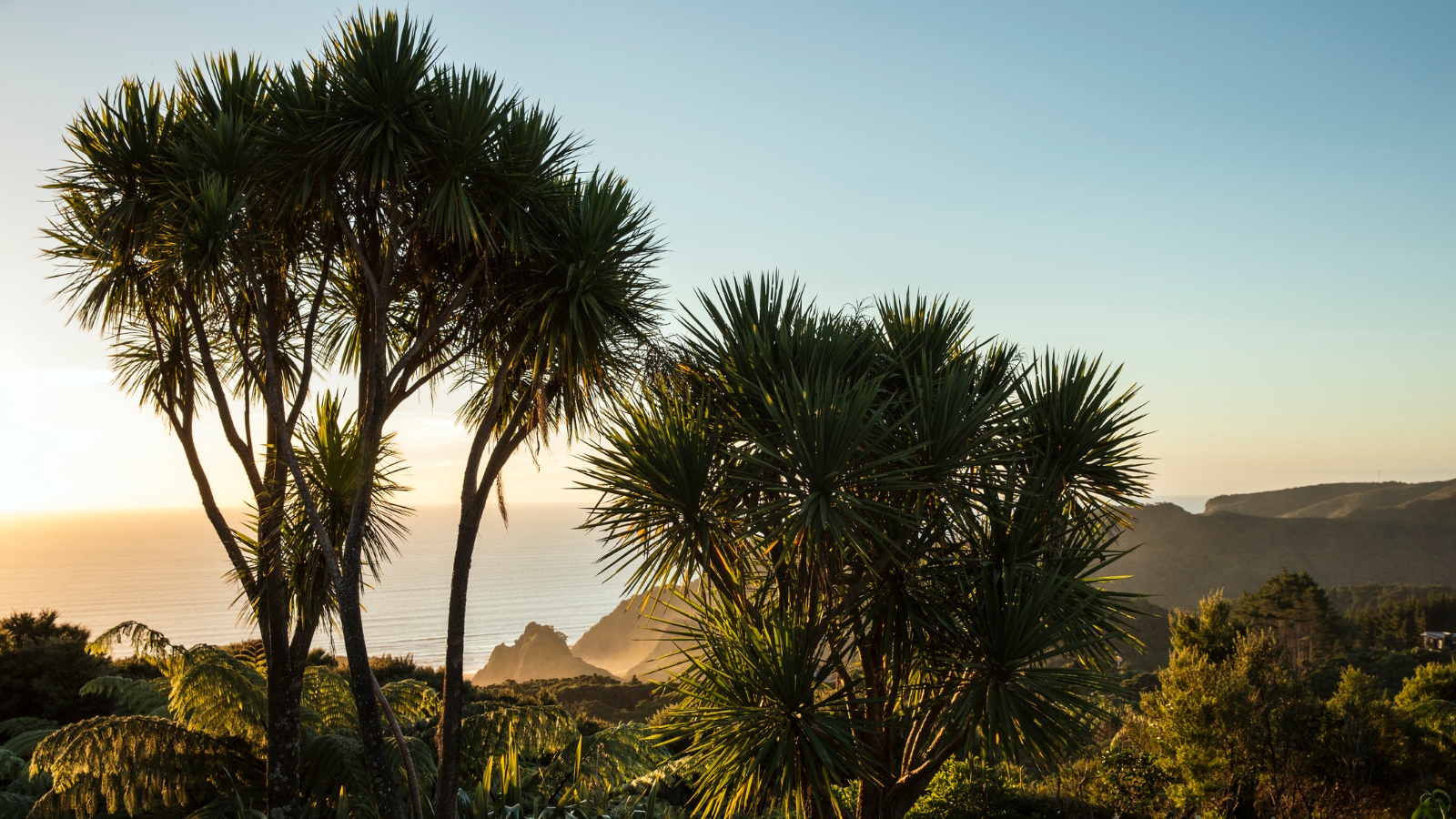 West Coast beach NZ.