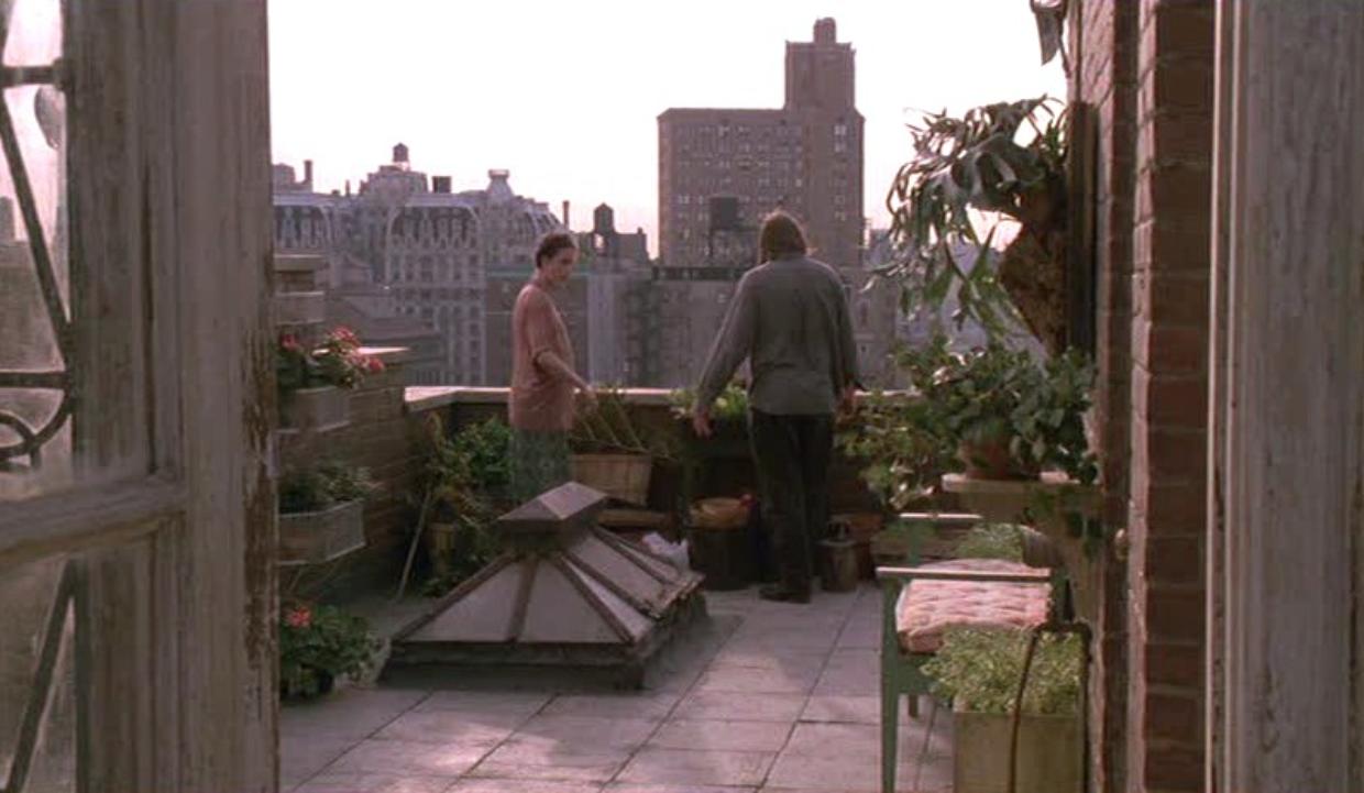 Rooftop garden and balcony