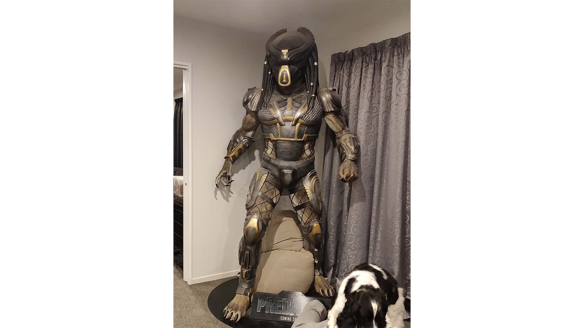 A towering 2.3m tall Predator Statue, a unique item on Trade Me, finds a new owner.