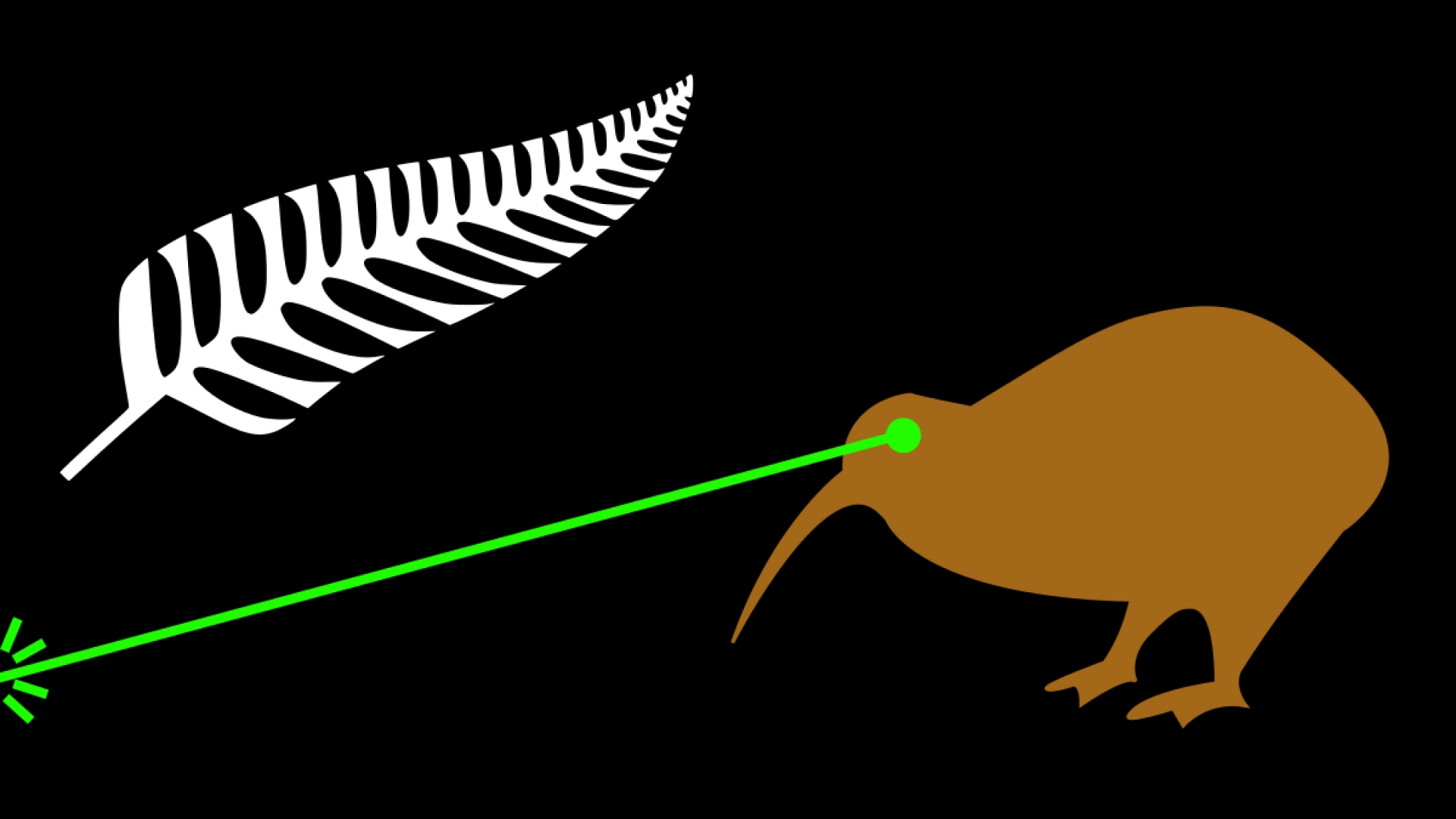 Laser Kiwi flag – black background with a silver fern in the top-left, and a brown kiwi on the right, firing laser beams from its eyes.