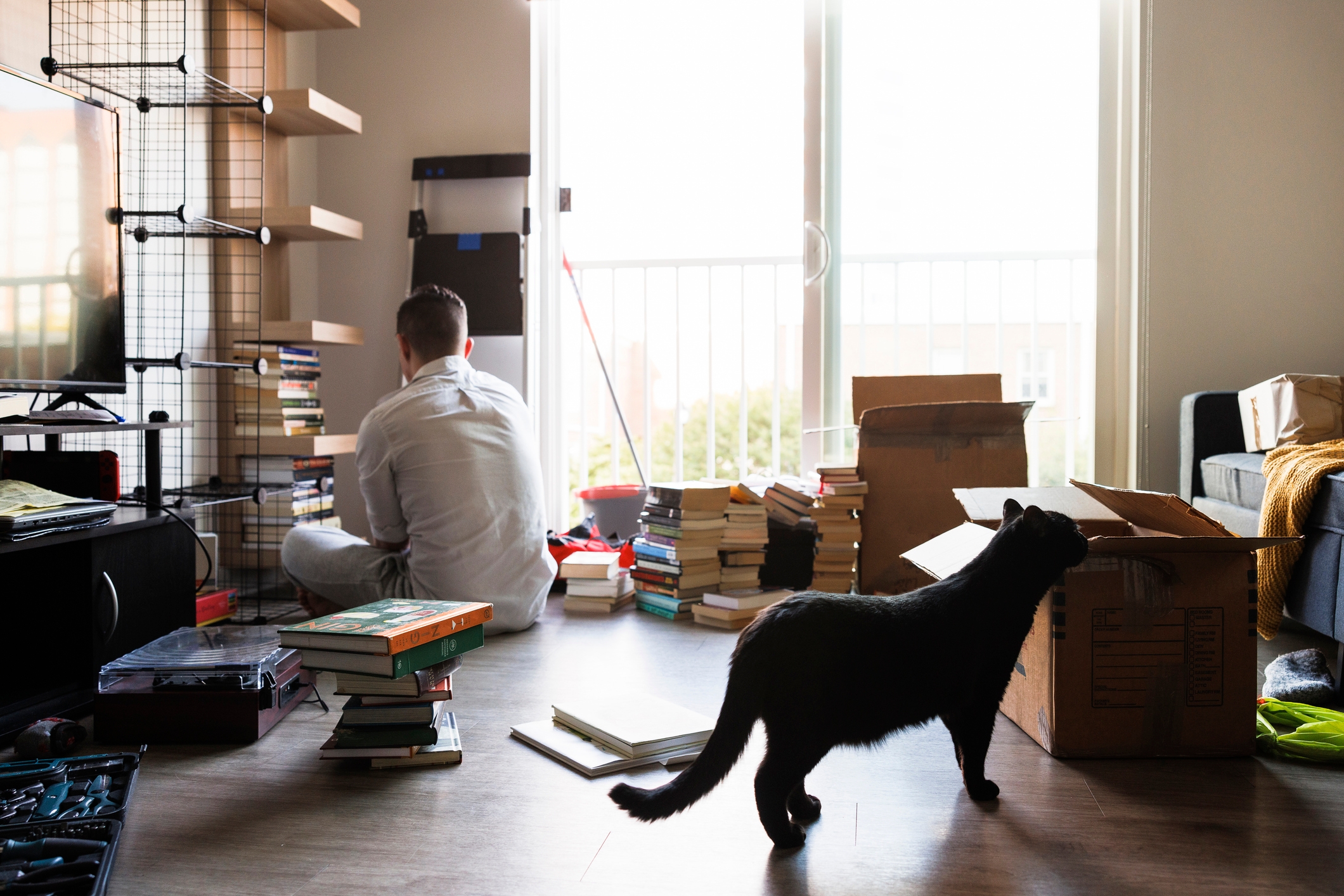 Guy moving into house with cat. Boxes everywhere. 