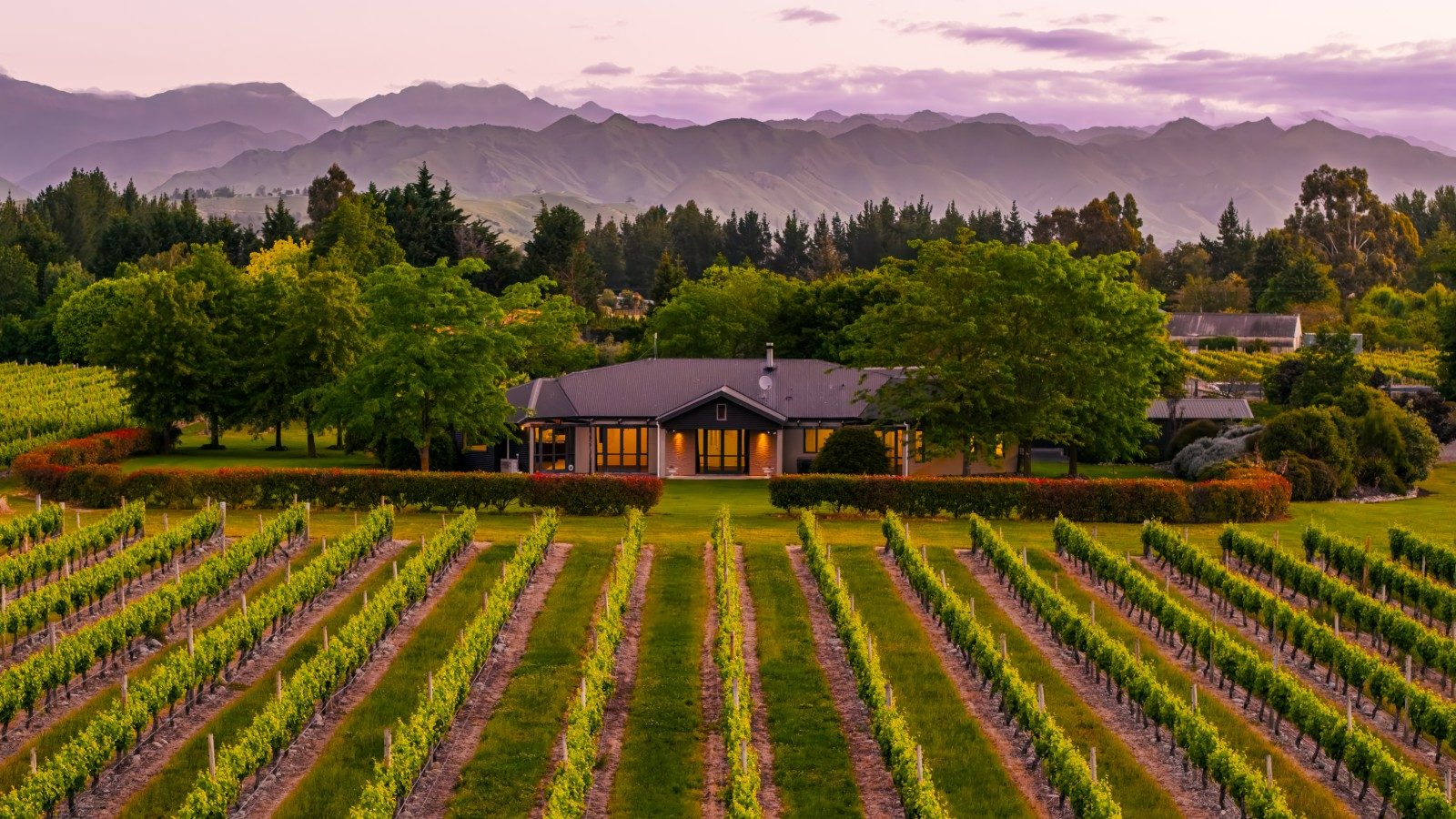 From Marlborough vines to Golden Bay alpacas: five stunning homes that mean business