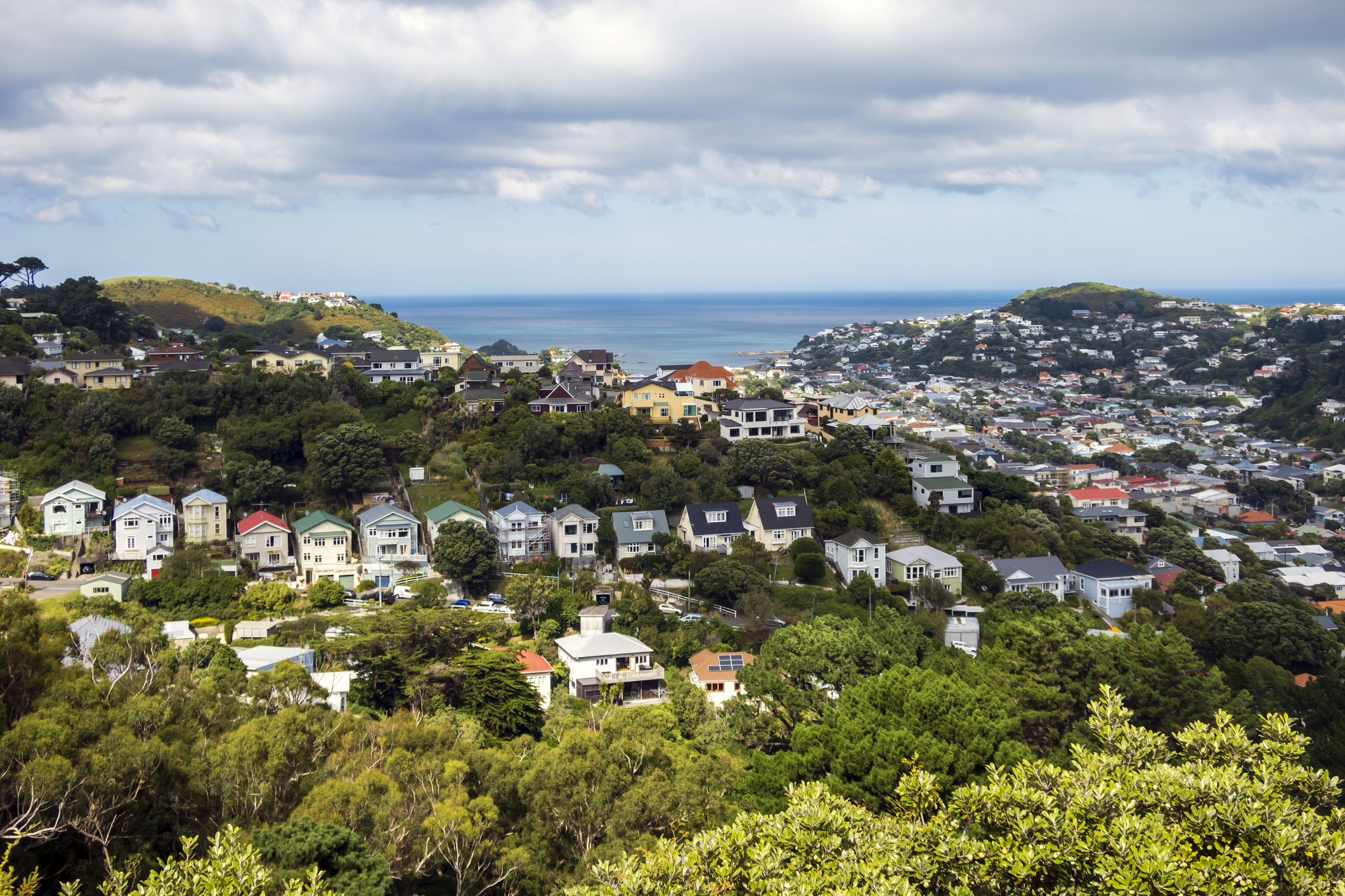 Island Bay from above