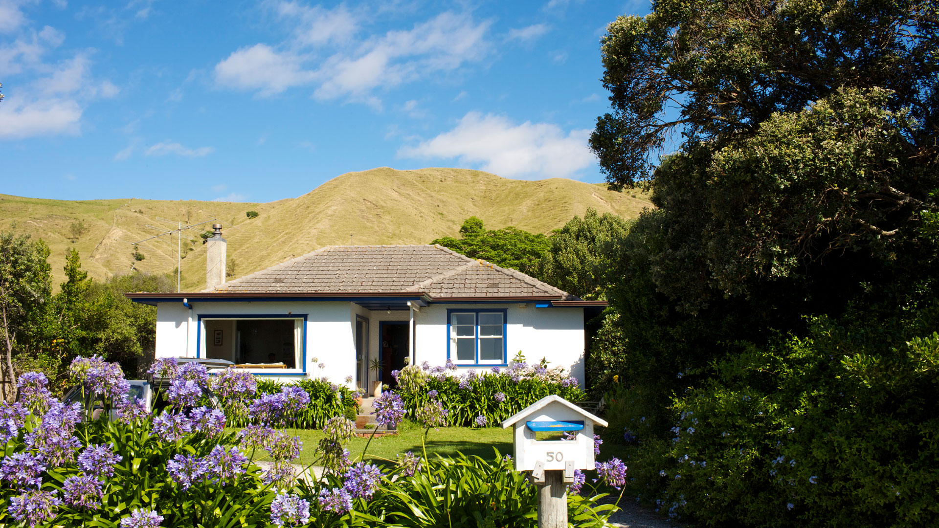 A sunny NZ property in Gisborne with hills behind it.